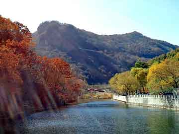 管家婆黑白马报图库，景程论坛